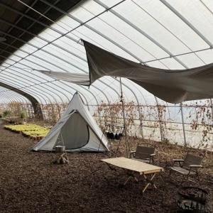 Commercial Aquaponics Sunlight Greenhouse for Customer Requirements JX-A00223