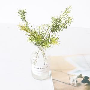 OEM 25cm Small Twig Melaleuca bracteata Dried Flower Bunches