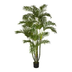 Quality Areca Palm Silk Tree, 5' for sale