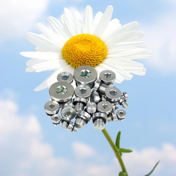 Stainless Steel Pipe Plug DIN908 Hex Socket Head Screw Plugs Internal Drive Screw Plugs 10mm