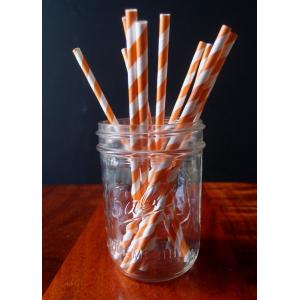 Quality Orange Striped Patterned Party Paper Straws (12 Pack) for sale