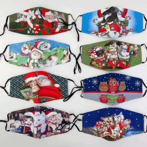 CE FDA 22*15cm PM2.5 Breathable Disposable Dust Mask