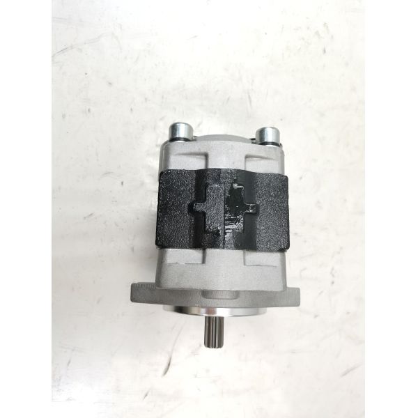 Steel Hydraulic Gear Pump with 9T Tooth 11KW Power and 160KG-250KG Pressure for Industrial Applications