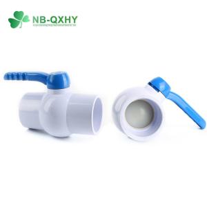 Customizable Black PVC Octagonal DIN Socket/NPT Thread Ball Valve with Blue Long