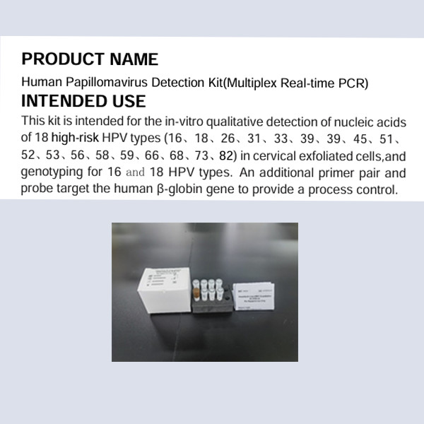 Buy Human Papillomavirus Detection Kit Multiplex Real Time PCR at wholesale prices