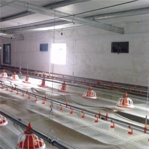 Pan Chicken Feeding Line 120L Bin Automatic Chicken Feeder