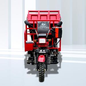 10L Capacity Petrol Gasoline Motorized Cargo Tricycles Perfect for Indonesian