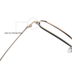 Custom Pure Titanium Frame Glasses Optical Easy Lens Replacement
