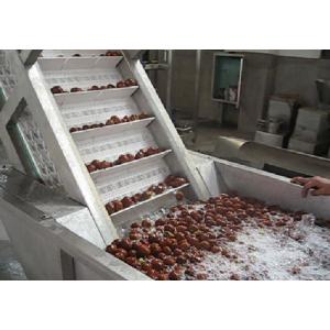 Industrialized Fruit And Vegetable Processing Line For Date Washing And Elevator