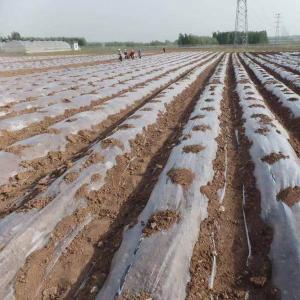 Thermal Insulation Agricultural Nonwoven Seeding Cultivation Water-Saving Weed
