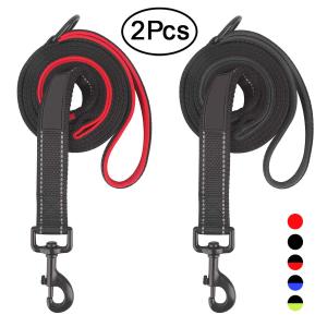 3M Reflective Nylon Dog Leash , 5ft Heavy Duty Rope Leash With 2 Padded Handle