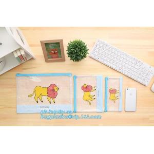 zipper PVC file bag with ESD anti static function A4, printing pvc document bag/