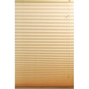 Contemporary Windows Shades Blinds Beige with Pleated Venetian style