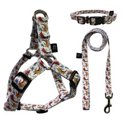 5kg Dog Harness Set