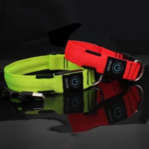C906 Wholesale Rechargeable Orange Illuminated Dog Leash and Collar