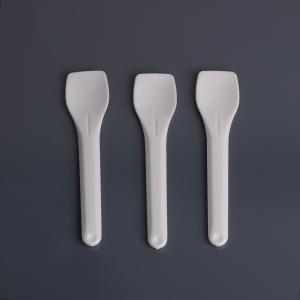 Ice Cream Biodegradable Spoon 9.5cm Pla Tableware