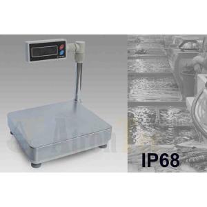 Quality Mini Portable Platform Scale With Capacity 3kg - 60kg Low Voltage Alarm Function for sale