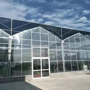 Agriculture Polycarbonate Greenhouse for Grape Planting