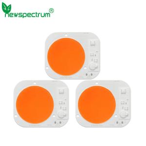 1400k COB LED Chips
