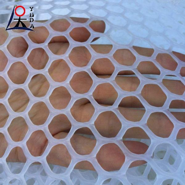 Extruded Plastic Flat Plain Netting Extruded Plastic Flat Plain Netting