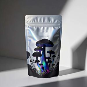 Custom Printed Stand Up Zipper Pouch for Food Packaging