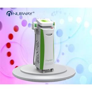Quality record low price year end promotion super cool -15℃ simultaneous double head work Cryopolysis body slimming machine for sale