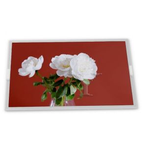 P238HVN01.0 New 23.8 Inch 1920*1080 A-Si TFT-LCD Lcd Display New and Original