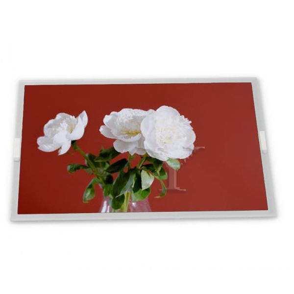 Buy P238HVN01.0 New 23.8 Inch 1920*1080 A-Si TFT-LCD Lcd Display New and Original at wholesale prices