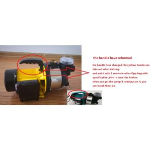 Plastic Water Transfer Portable Jet Garden Pump