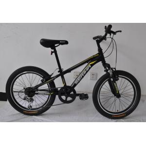 Chinese factory wholesale hot sale 20 size hi-ten steel 18/21 speed MTB bike
