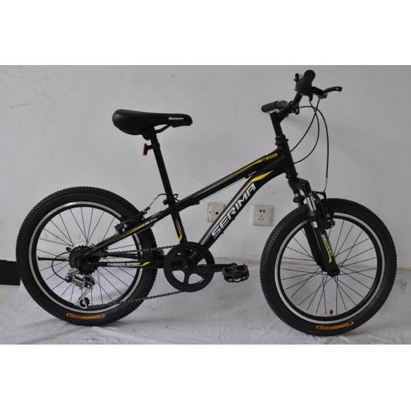 Chinese factory wholesale hot sale 20 size hi-ten steel 18/21 speed MTB bike