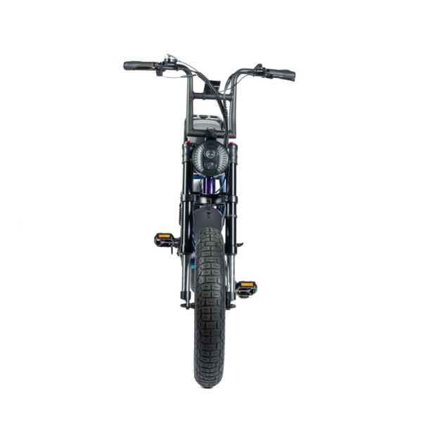 Customized Mountain Electric Bike with Torque 30-50 Nm and 48V Voltage Beach Bikes Cruisers