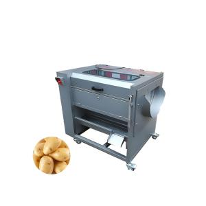 500KG/H Fruit And Vegetable Peeler Machine Ginger Potato Washer