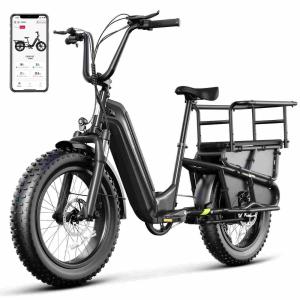 20” Fat Tire Long Tail Cargo E-bike
