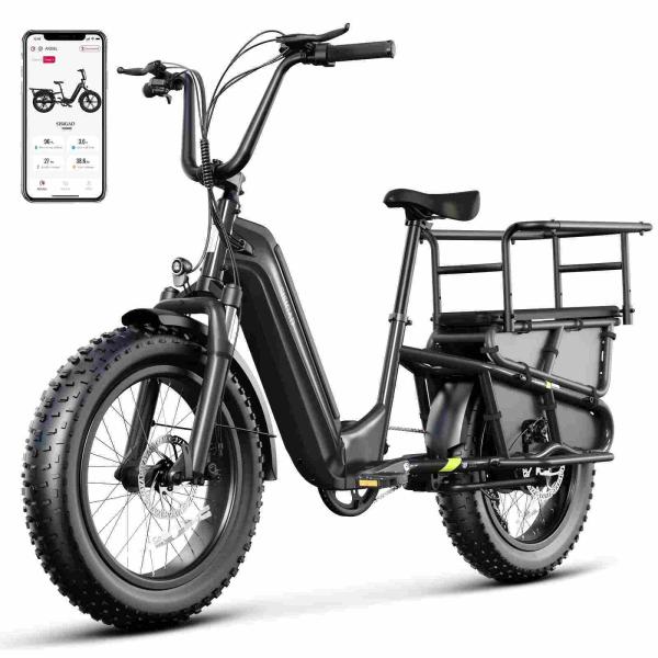 Buy 20” Fat Tire Long Tail Cargo E-bike at wholesale prices
