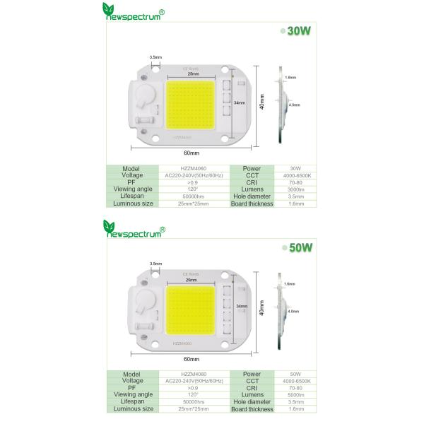 Customized Logo AC COB LED
