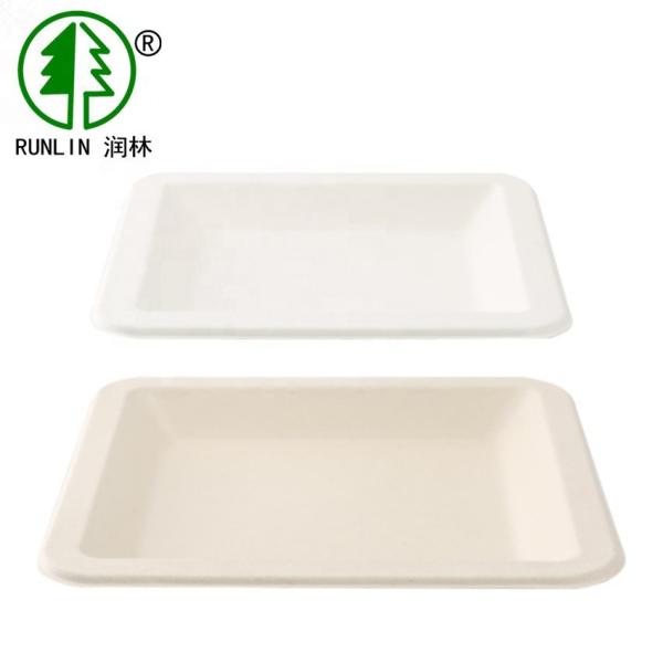 Microwavable Sugarcane Bagasse Biodegradable Food Trays Eco Friendly Disposable