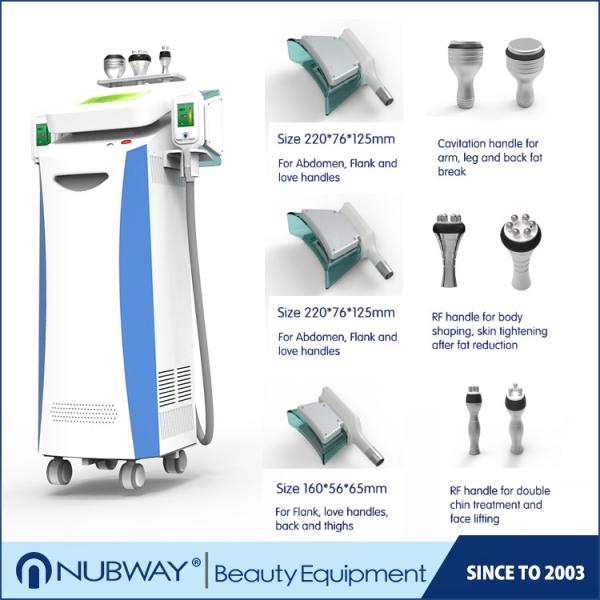 cryotherapy machine fat reduction freeze fats system weight loss cryolipolysis