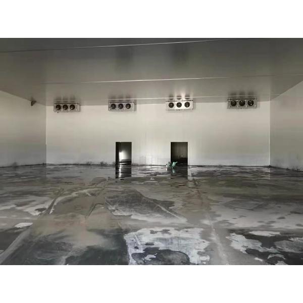 Buy Freon Refrigerant Cold Storage Room for Distribution of Vegetables Fruits Fishes Meat 10 at wholesale prices