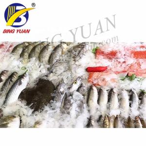 0.8T Flake Ice Maker Machine