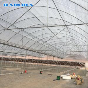 High Straight Wall Wind Resistant Multispan Greenhouse With Gutter