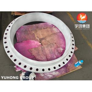 ASTM A182 F310 Stainless Steel Forged Flange Brida