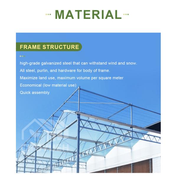 Wind Resistance Multi Span Plastic Film Tunnel Greenhouse With Ventilation System