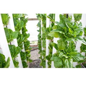 Customized PVC Pipe Vertical Tower Grow Channel Growing System for Vertical