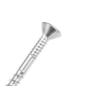 Stainless Steel Torx Double Thread Gypsum Plasterboard Screw with Pozidriv Drive