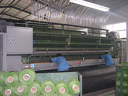 China Artificial Grass Online Marketplace