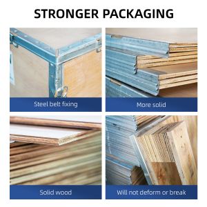 Ingani 60cm DTF Printer I3200 Full-Automatic Multicolor Wireless Direct to Film