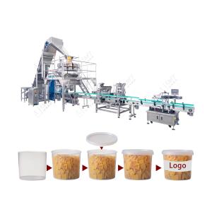 10L Drum Fully Automatic Filling Line for Plastic Parts - Auto Loading, Weighing