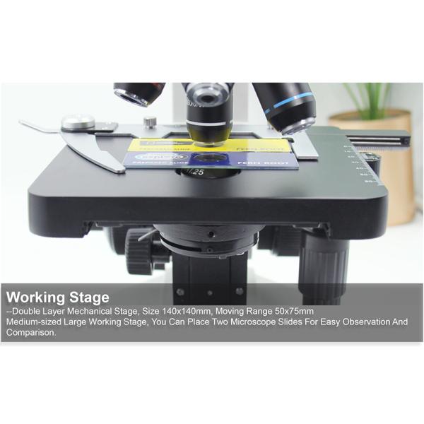 Laboratory Compound Xsz 107bn 1600x Biological Microscope