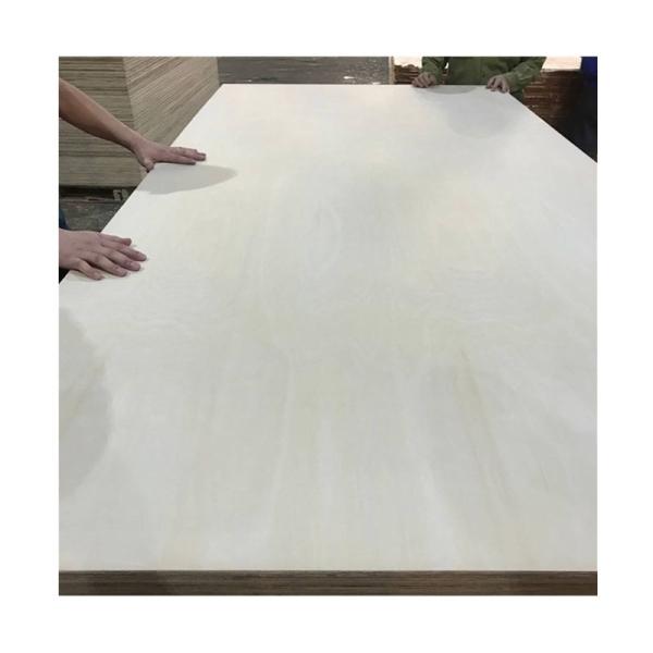 Buy Pressure Treated Birch Faced Plywood at wholesale prices
